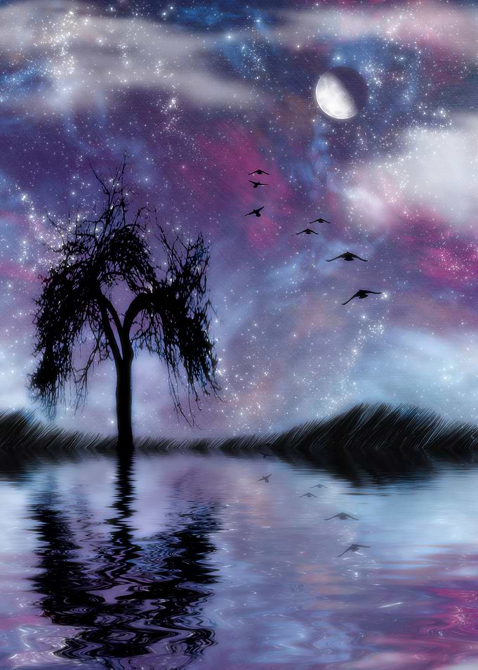Pond in Moon light