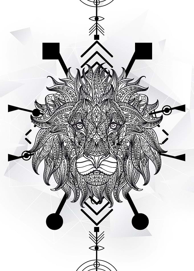 Lion Line Art