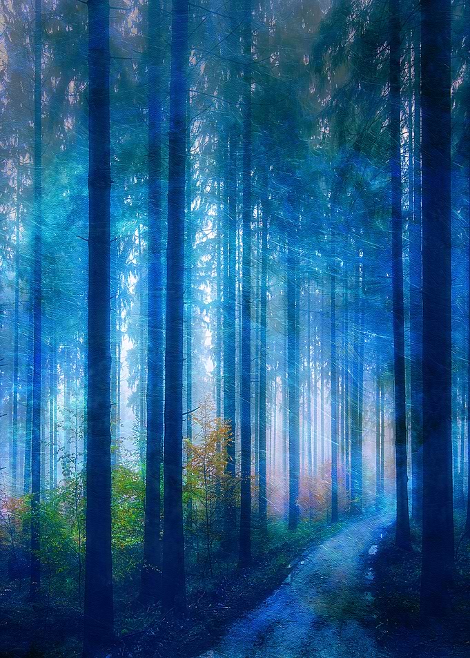 Blue Forest