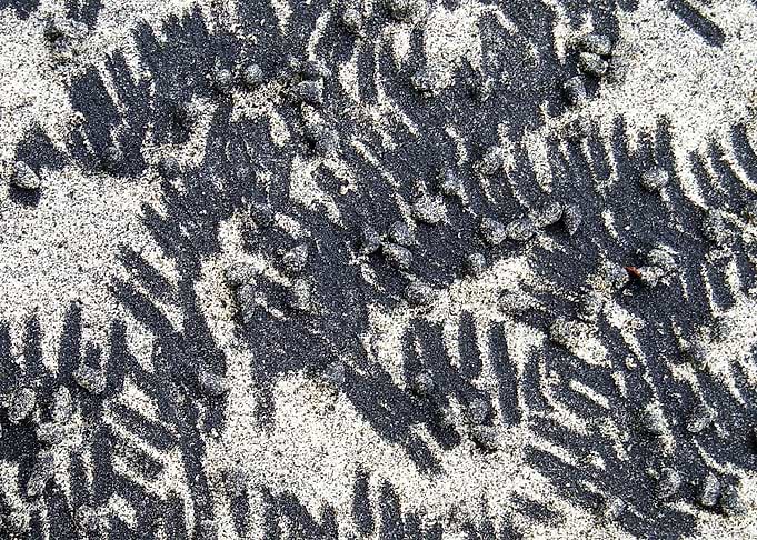 Blue Abstract Sand