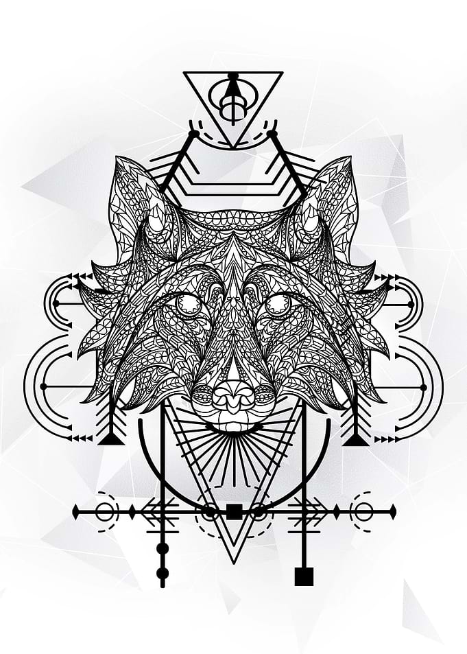 Fox Line Art