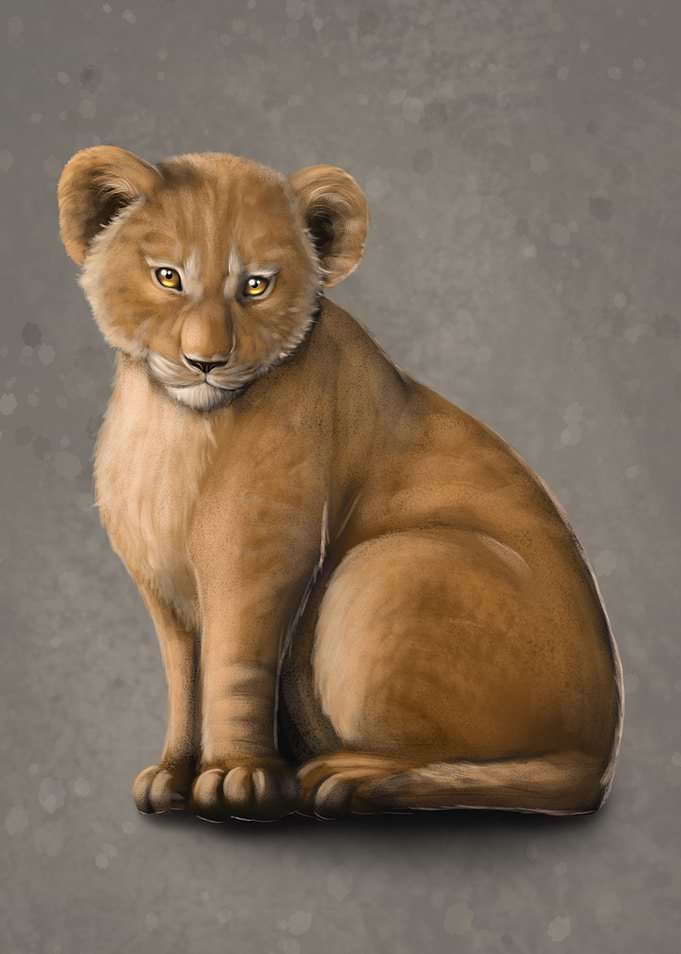 Young lion whelp