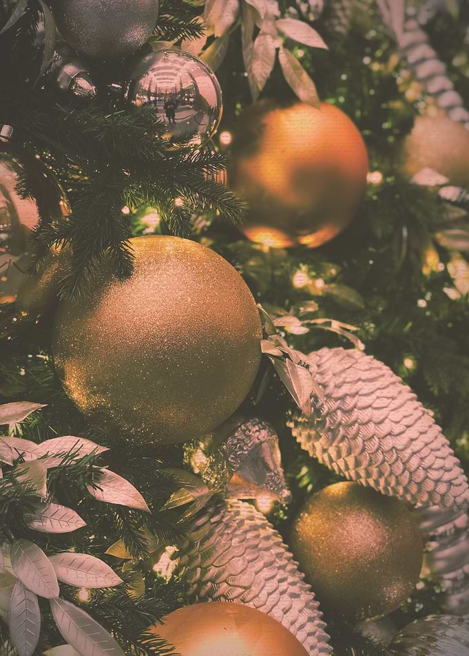 Merry Christmas