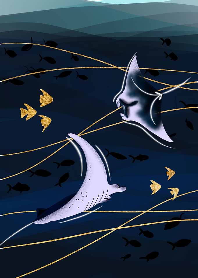 Mantarays