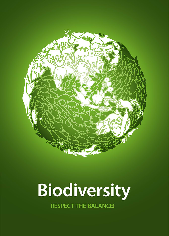 Biodiversity globe message