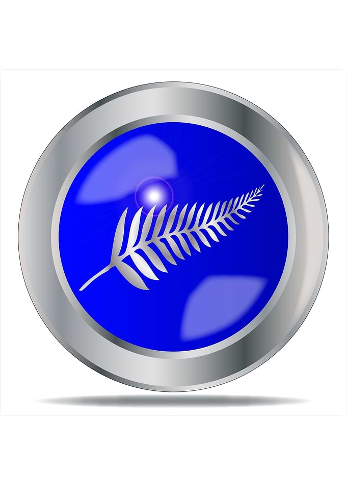 Silver Fern Button
