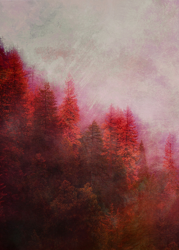 Dreamy Autumn Forest