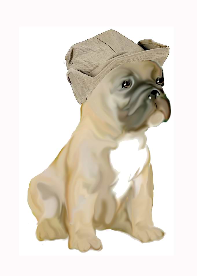French Bulldog in Hat
