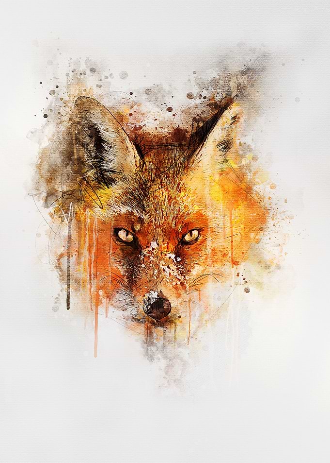 Fox