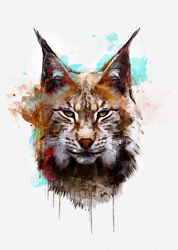 Lynx