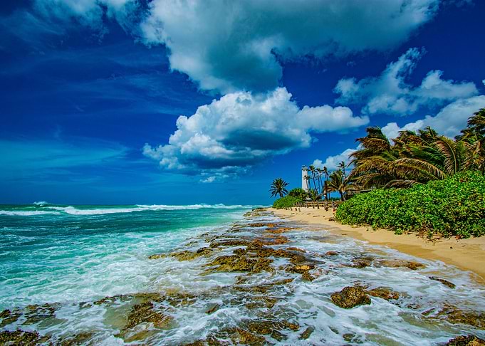 The Shores of Oahu