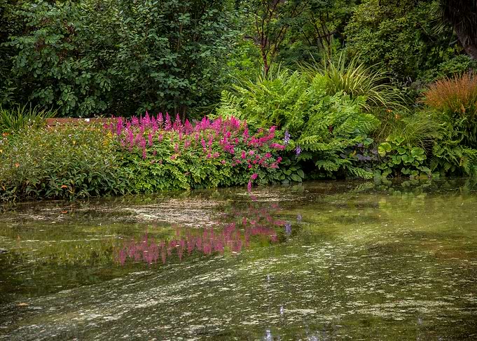Awesome Garden
