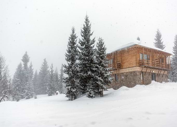 Winter landscape