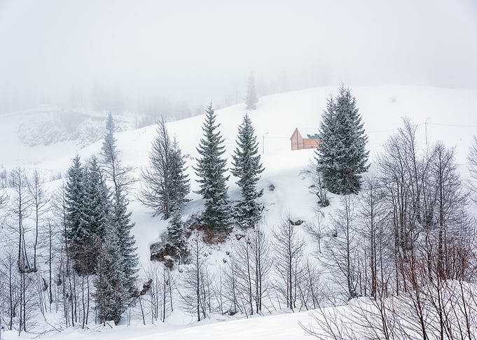 Snowy Winter Landscape