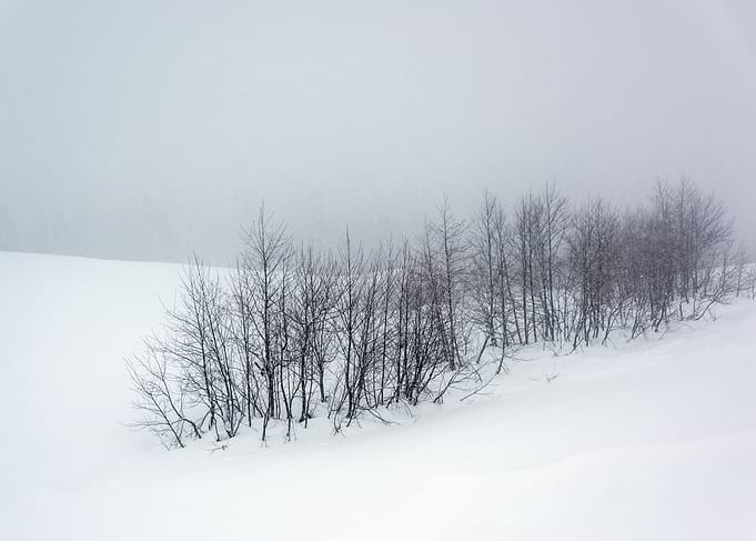 Snowy Winter Landscape