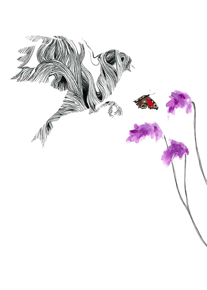 Predator and Prey