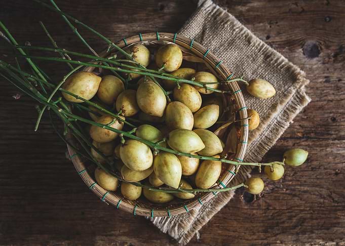 Baccaurea ramiflora fruit