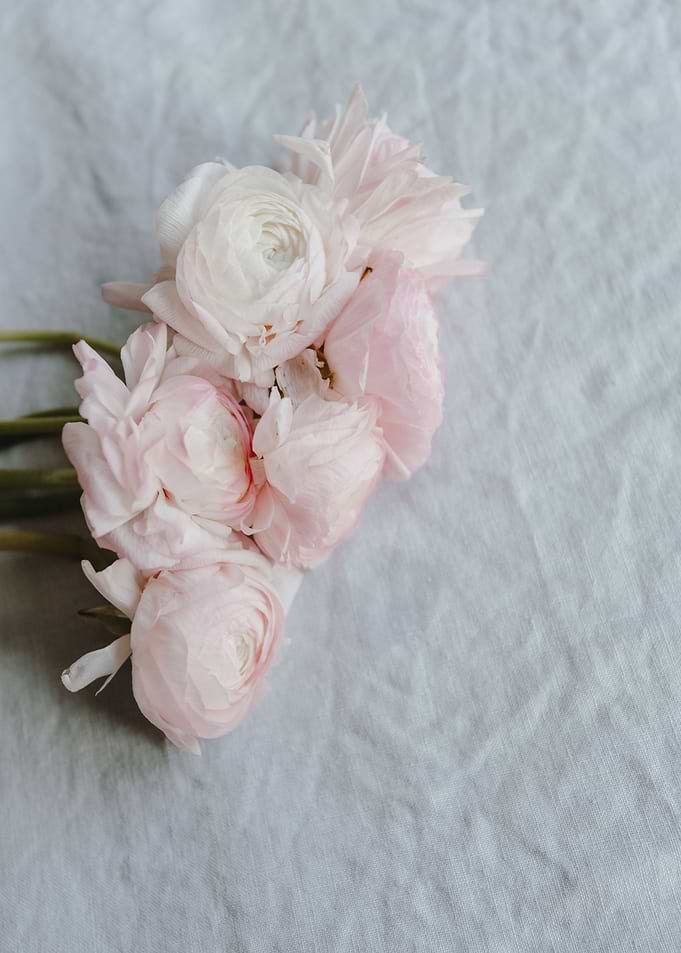 Rose Flowers