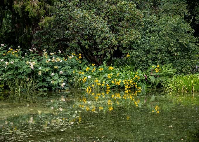 Green Garden View