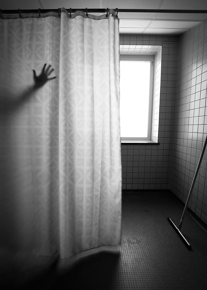 Shower curtain