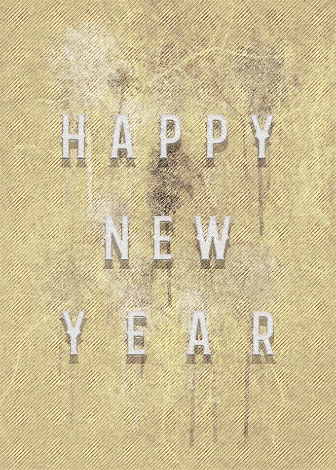 HAPPY NEW YEAR