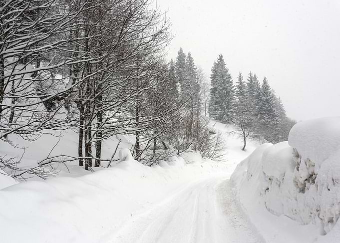 Winter landscape