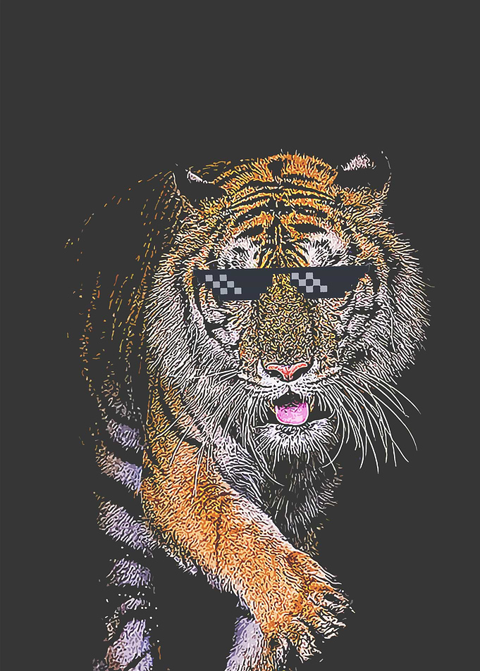 tiger face