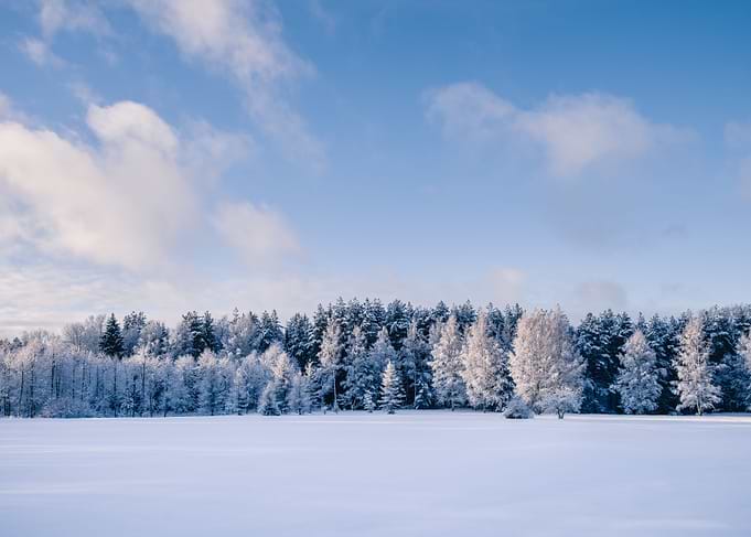 Calmness of winter