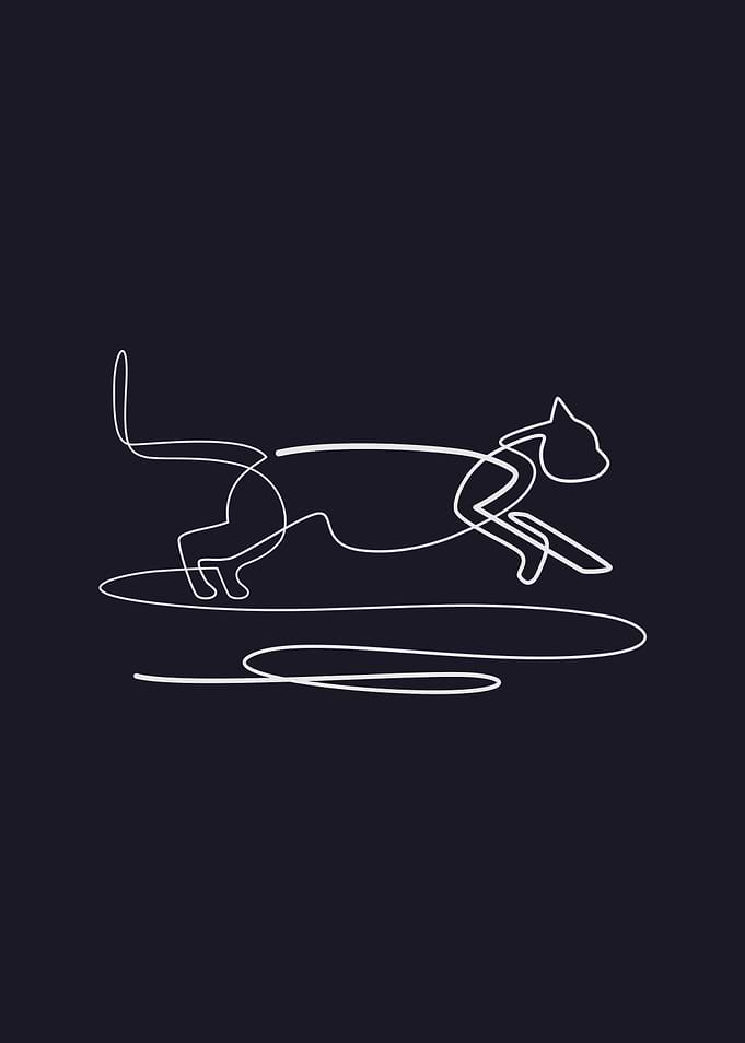 Animal Cat Line Art Poster