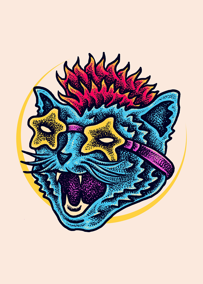 Funky cat style
