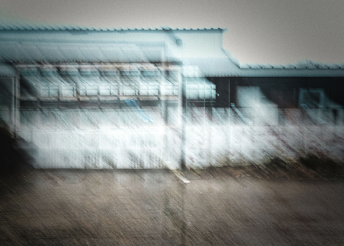 shelter