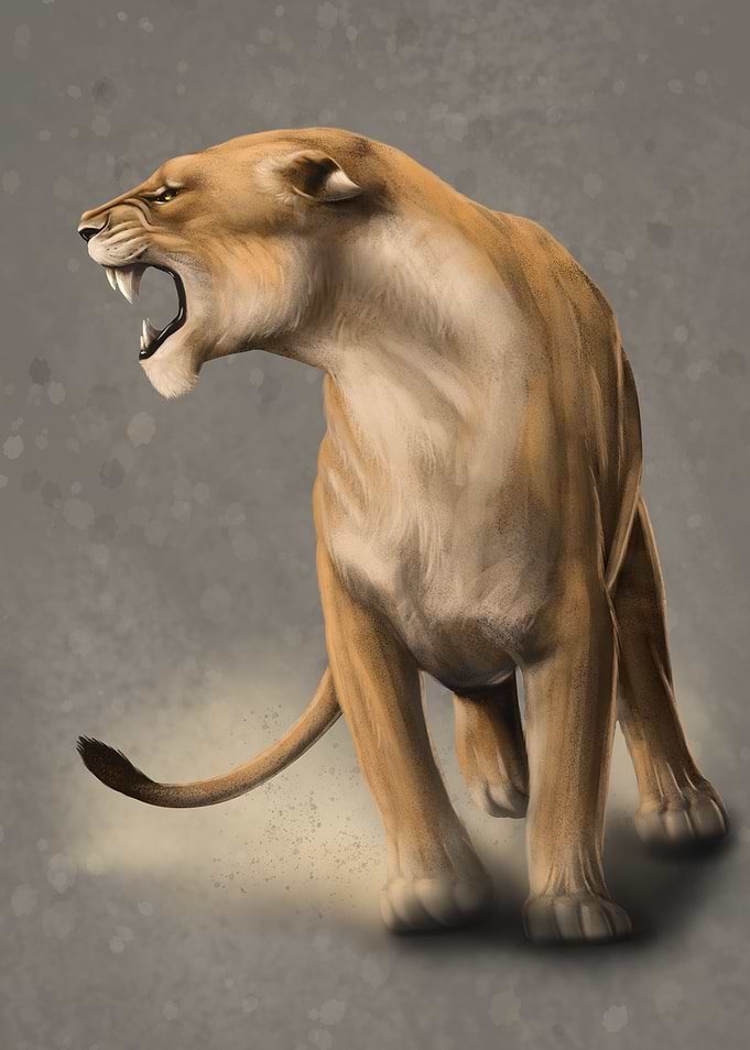 Fighting lioness attack