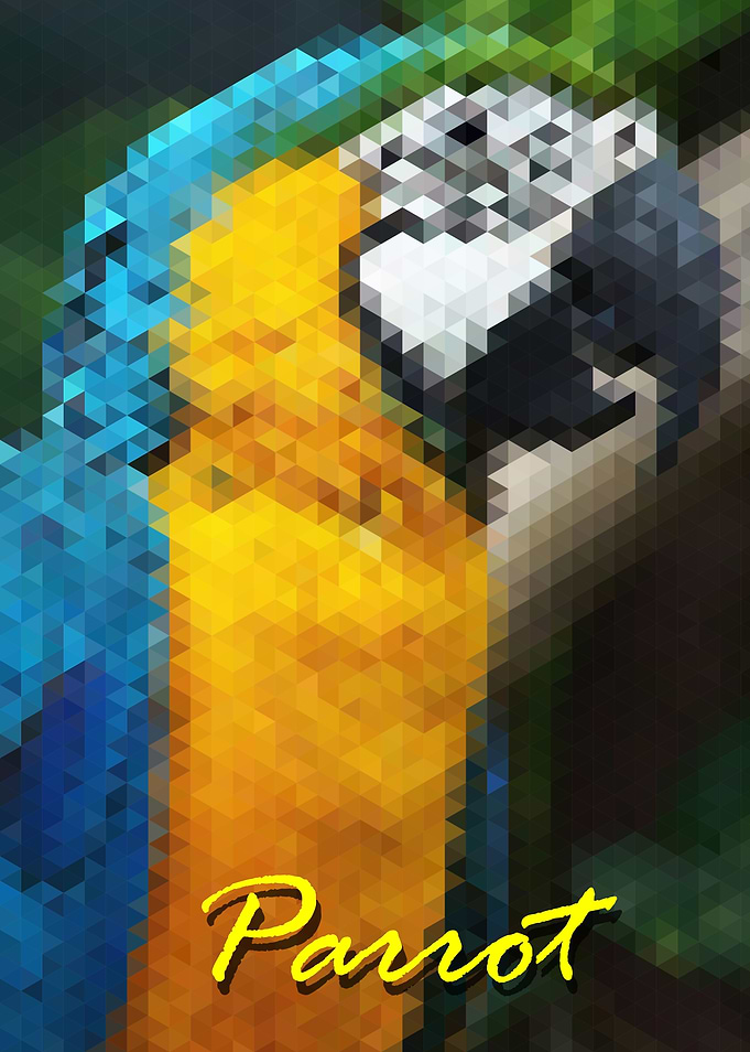 Isometric Parrot
