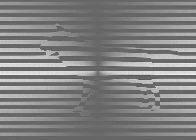 Optical Illusion Animal