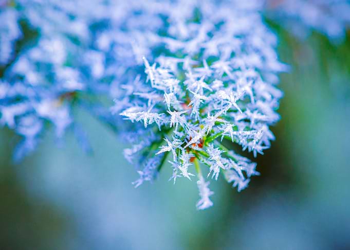 Bitter Cold Ice Crystals