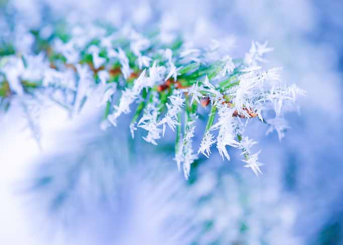 Bitter Cold Winter Colors