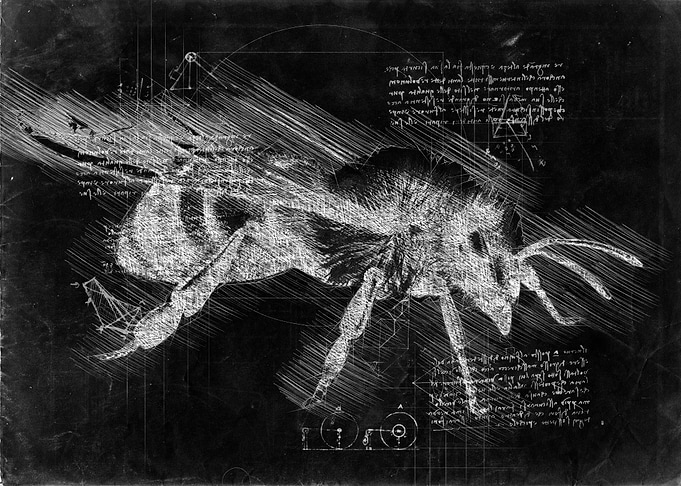 Bee