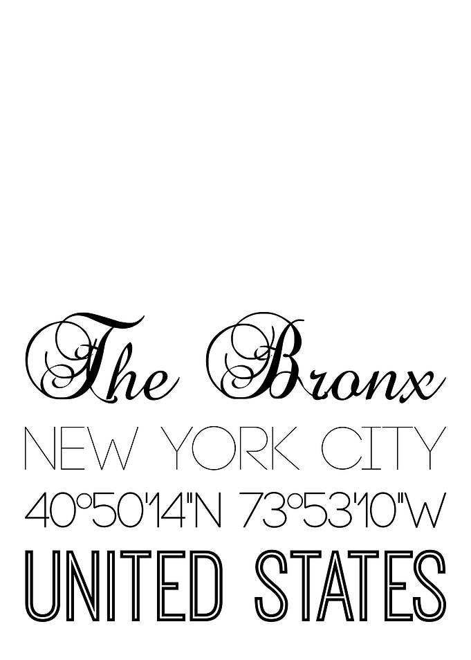 The Bronx On White