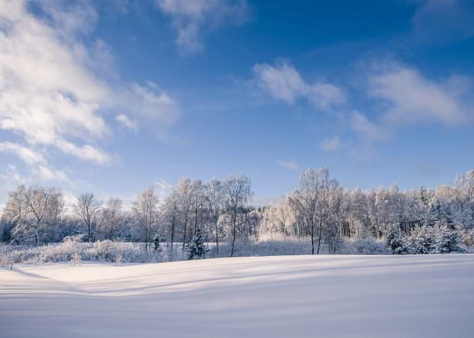 Beauty of winter