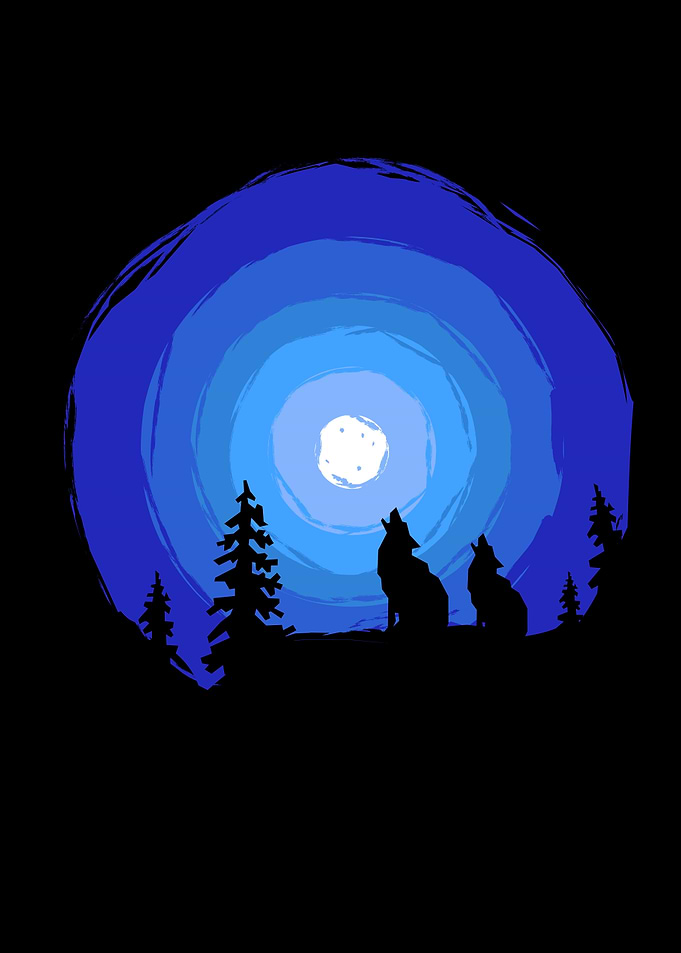 Wolf at Night