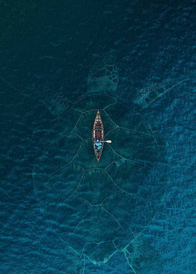 TURTLE