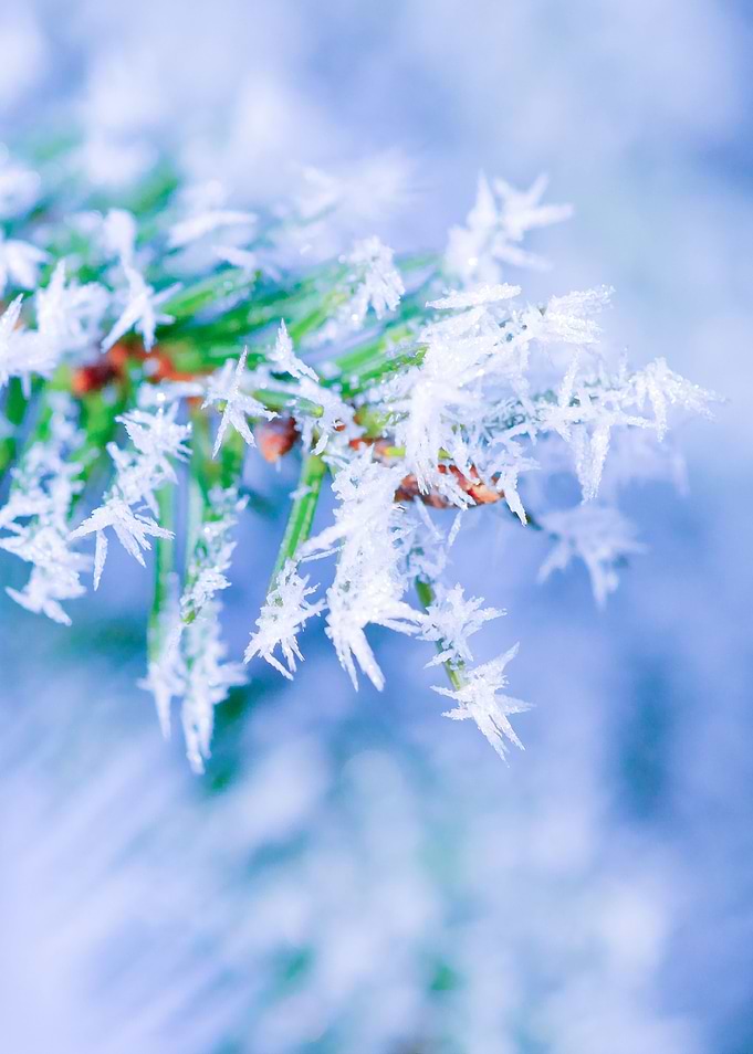 Bitter Cold Winter Colors