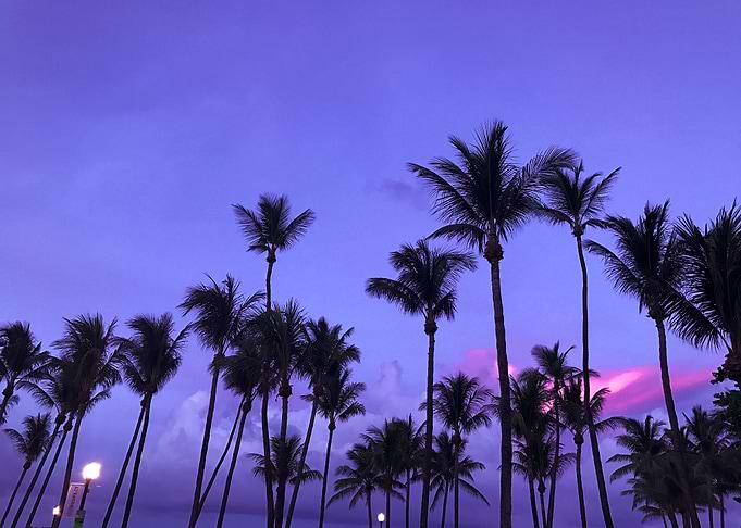 Beach Sunset