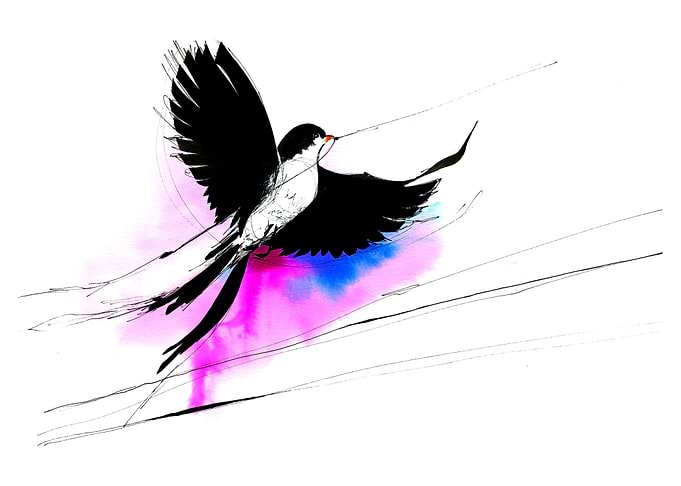Bird Fly away