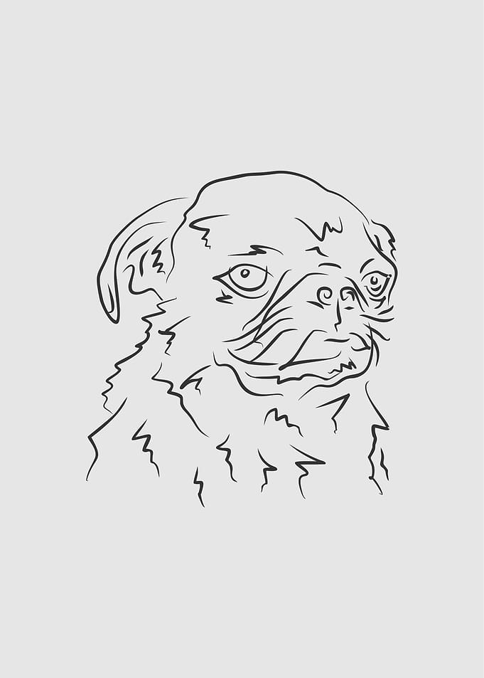 Dog 9e Black Line