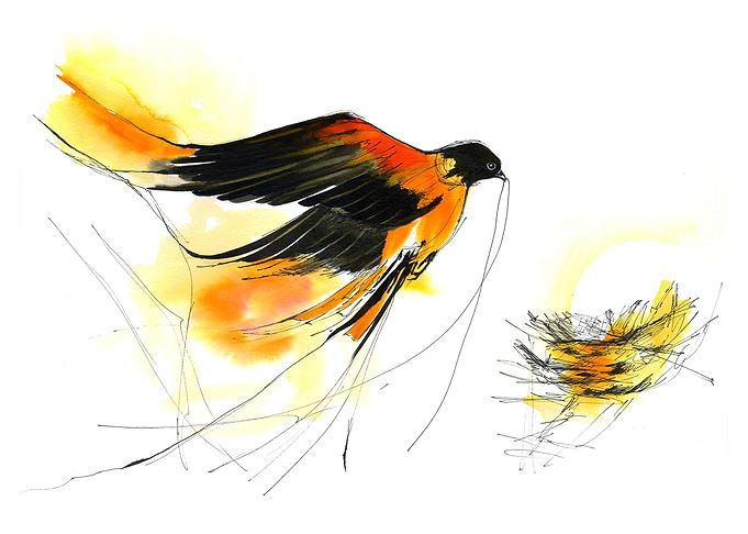 Bird Home story