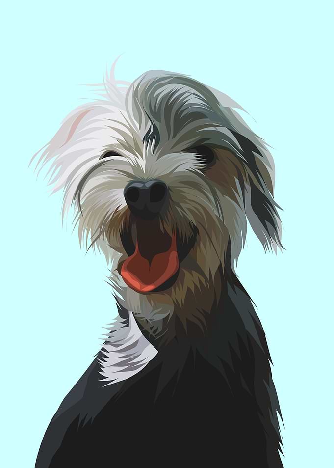 dog art