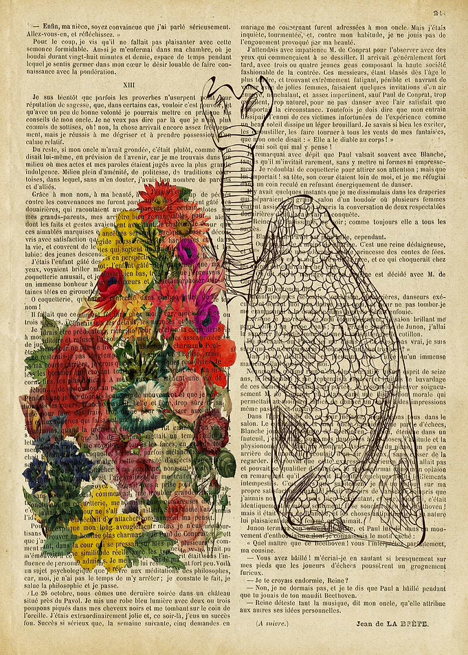 anatomical lungs