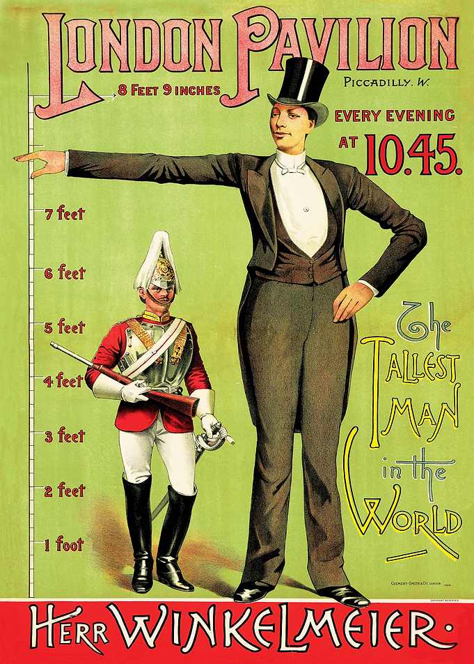 The Tallest Man