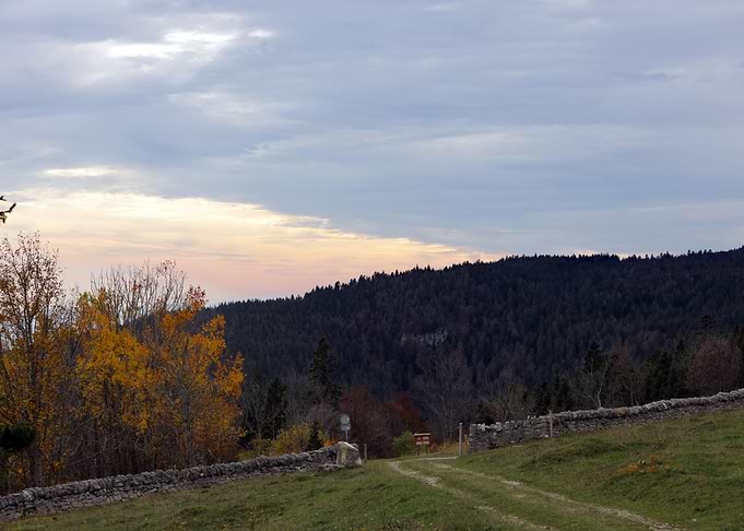 Lost in the jura